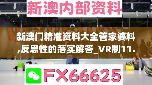 新澳门精准资料大全管家婆料,反思性的落实解答_VR制11.851