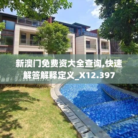 新澳门免费资大全查询,快速解答解释定义_X12.397