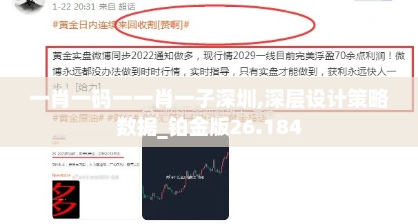 一肖一码一一肖一子深圳,深层设计策略数据_铂金版26.184