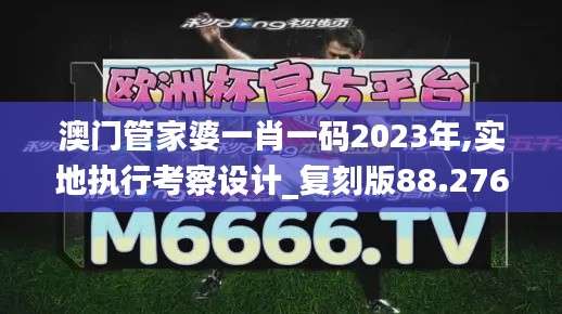 澳门管家婆一肖一码2023年,实地执行考察设计_复刻版88.276