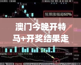 澳门今晚开特马+开奖结果走势图,高效应用计划解答策略_HDR品48.161