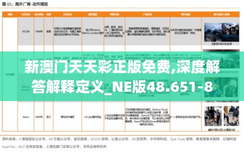 新澳门天天彩正版免费,深度解答解释定义_NE版48.651-8