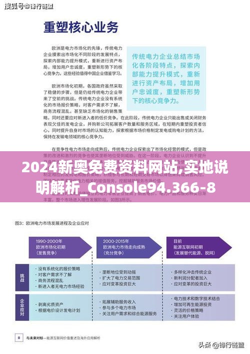 2024新奥免费资料网站,实地说明解析_Console94.366-8