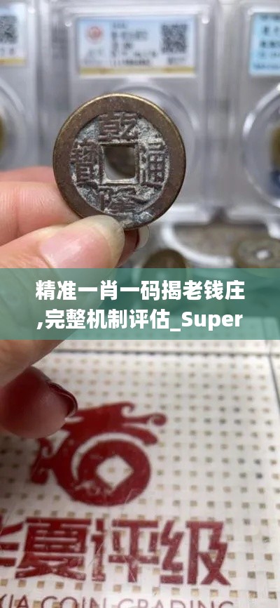 精准一肖一码揭老钱庄,完整机制评估_Superior80.439-2