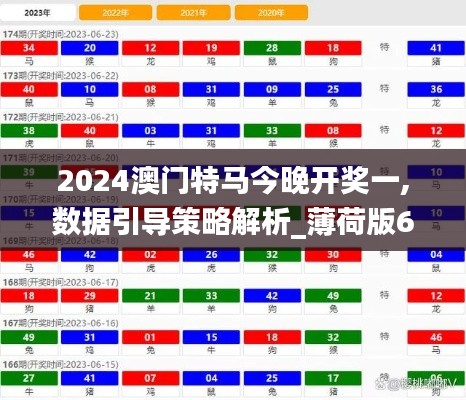 2024澳门特马今晚开奖一,数据引导策略解析_薄荷版69.195-7