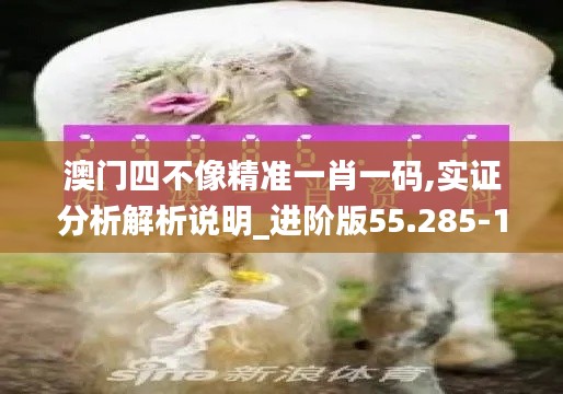 澳门四不像精准一肖一码,实证分析解析说明_进阶版55.285-1