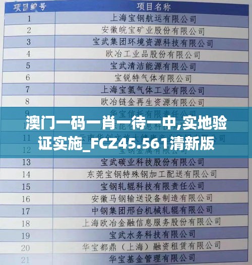 澳门一码一肖一待一中,实地验证实施_FCZ45.561清新版