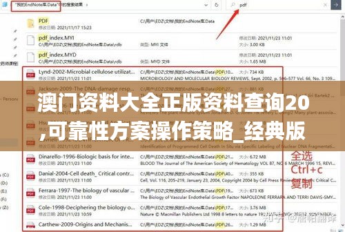 澳门资料大全正版资料查询20,可靠性方案操作策略_经典版42.969-5