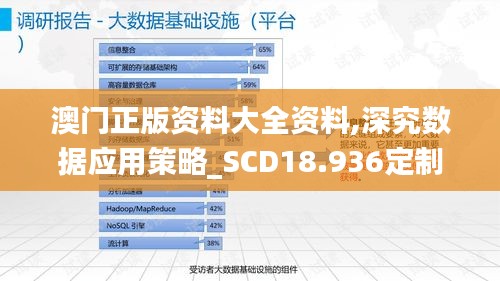 澳门正版资料大全资料,深究数据应用策略_SCD18.936定制版