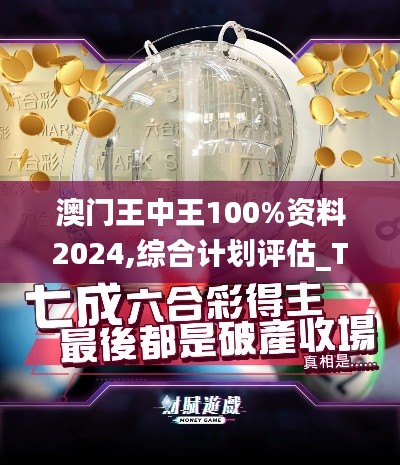 澳门王中王100%资料2024,综合计划评估_TJP6.614精致生活版