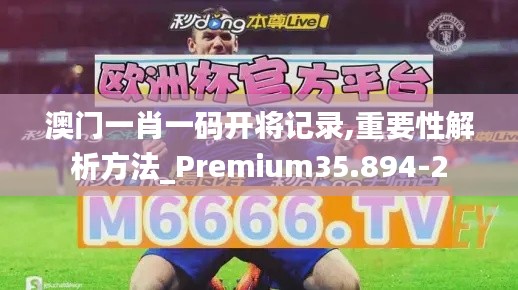 澳门一肖一码开将记录,重要性解析方法_Premium35.894-2