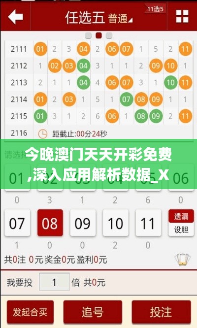 今晚澳门天天开彩免费,深入应用解析数据_XP172.409-8