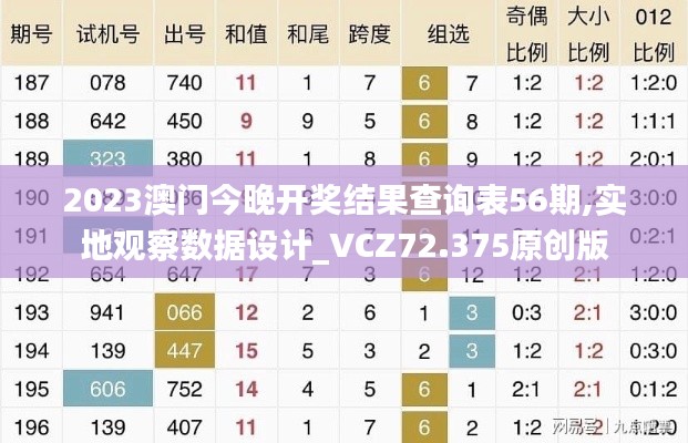 2023澳门今晚开奖结果查询表56期,实地观察数据设计_VCZ72.375原创版