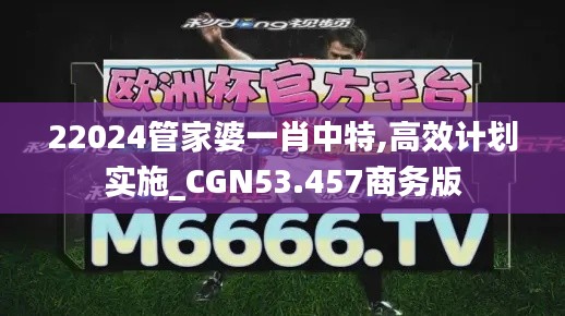 22024管家婆一肖中特,高效计划实施_CGN53.457商务版