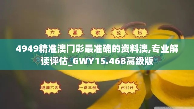 4949精准澳门彩最准确的资料澳,专业解读评估_GWY15.468高级版