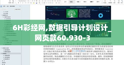 6H彩经网,数据引导计划设计_网页款60.930-3