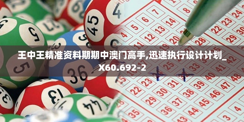 王中王精准资料期期中澳门高手,迅速执行设计计划_X60.692-2