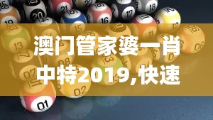 澳门管家婆一肖中特2019,快速解答执行方案_复古款46.805-6