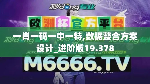 一肖一码一中一特,数据整合方案设计_进阶版19.378