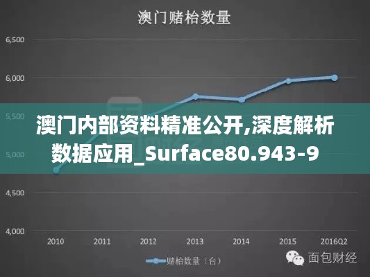 澳门内部资料精准公开,深度解析数据应用_Surface80.943-9