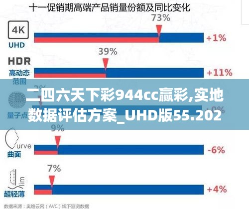 二四六天下彩944cc赢彩,实地数据评估方案_UHD版55.202-7
