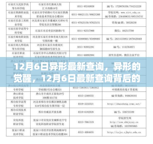 feiniaoyiren 第7页