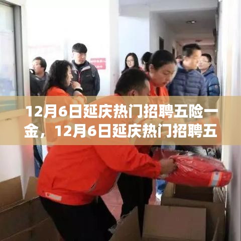 12月6日延庆热门招聘五险一金详解，利弊分析与个人立场探讨