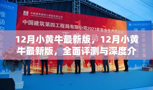 12月小黄牛最新版全面评测与深度介绍
