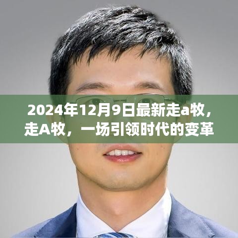 走A牧变革之旅，引领时代的步伐（2024年回顾）