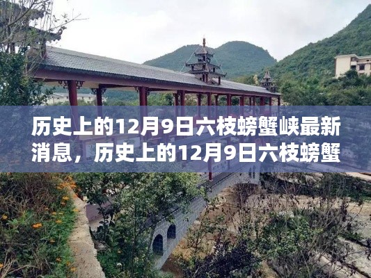 历史上的12月9日六枝螃蟹峡最新消息全面解读与评测介绍