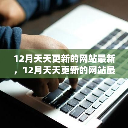 12月天天更新网站最新资讯，全面评测与介绍