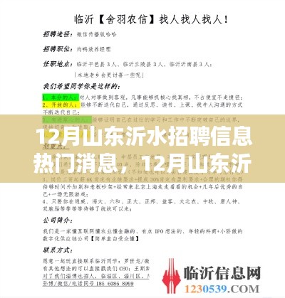 12月山东沂水招聘信息汇总，热门职位获取与应聘全攻略