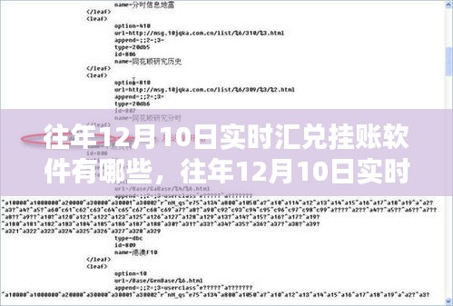 往年12月10日实时汇兑挂账软件概览与综述