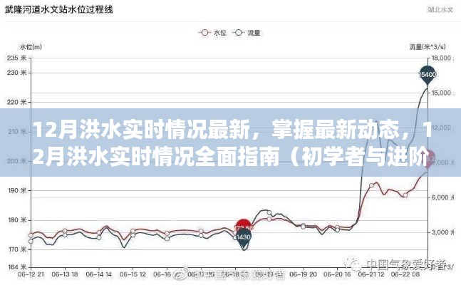 12月洪水实时情况全面指南，最新动态与初学者进阶信息