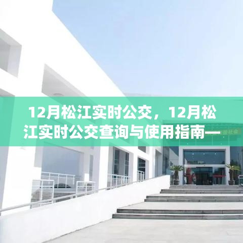 全方位指南，从新手到熟练用户，掌握松江地区十二月实时公交查询与使用技巧