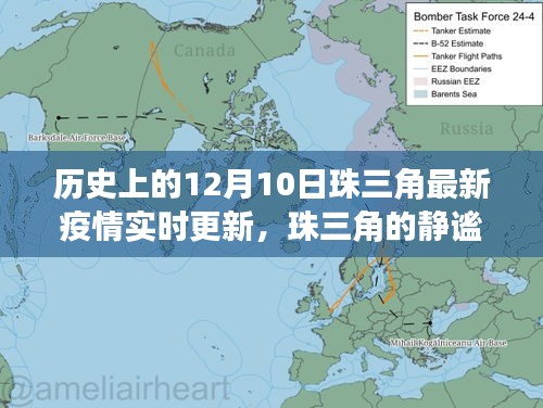 珠三角疫情下的自然探索之旅，历史与实时更新的静谧之美