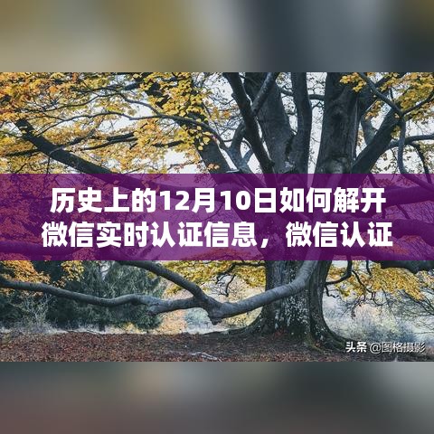 pusuwuhua 第5页