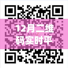 12月二维码实时平台出租，背景、发展、影响与当代地位解析