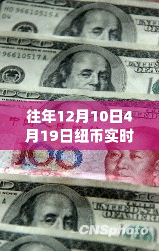 学习与变化的力量，历年纽币汇率风云背后的智慧洞察