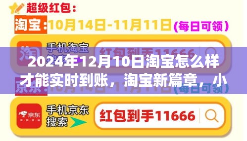 揭秘淘宝实时到账秘籍，淘宝新篇章下的秘密宝藏与实时交易指南（2024年）