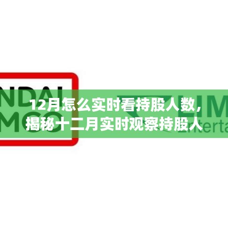 揭秘十二月实时观察持股人数的三大要点及如何实时查看持股人数