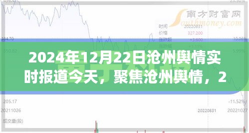 2024年12月22日沧州舆情深度观察与实时报道