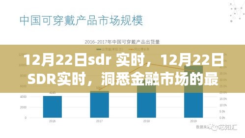 12月22日SDR实时，洞悉金融市场最新动态与趋势