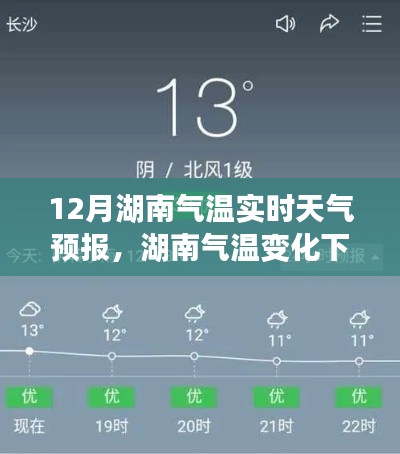 feiniaoyiren 第4页