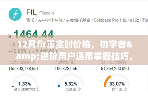 12月FIR币实时价格解析，初学者与进阶用户必备技巧
