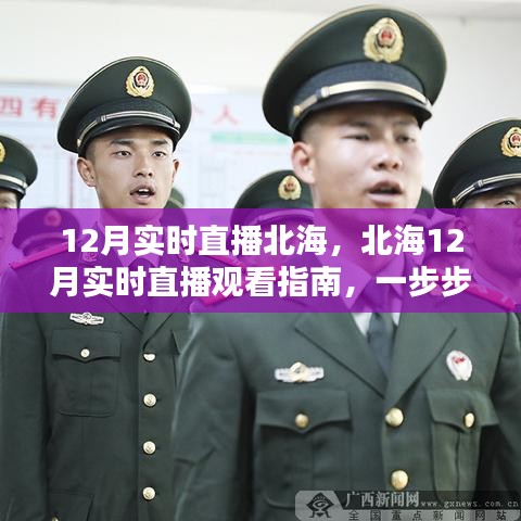 北海12月实时直播观看指南，一步步教你如何参与互动体验