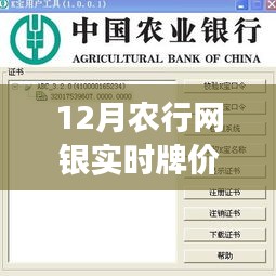 农行网银实时牌价下的深巷美食体验，秘密花园的独特风味