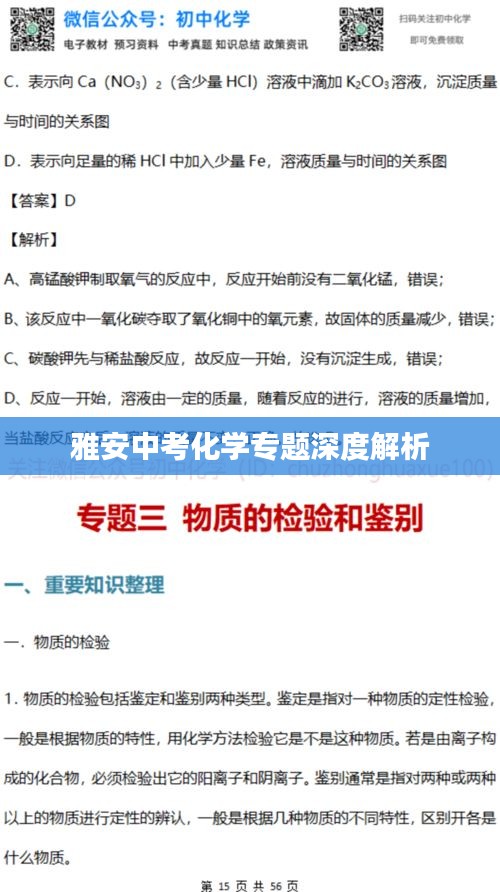 雅安中考化学专题深度解析