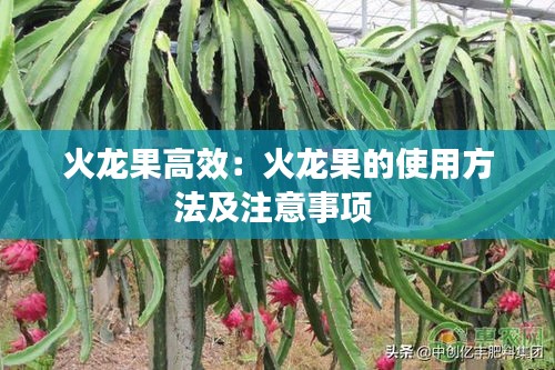 公司环境 第141页
