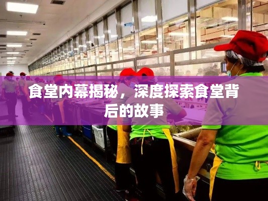 食堂内幕揭秘，深度探索食堂背后的故事